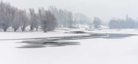 Danube Island Sodros near Novi Sad, Serbia. Gray and white landscape with snow covered trees and frozen water.の写真素材