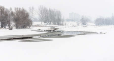 Danube Island Sodros near Novi Sad, Serbia. Gray and white landscape with snow covered trees and frozen water.の写真素材