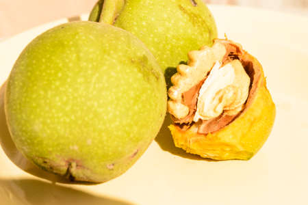 Ripe walnut fruits. Ripe walnut fruit on a ceramic pot.の写真素材