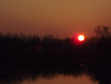 A panoramic view of the autumn sunset over the backwaters of the Danube River. A panoramic view of the backwater of the Danube river in the autumn period of the day.の写真素材