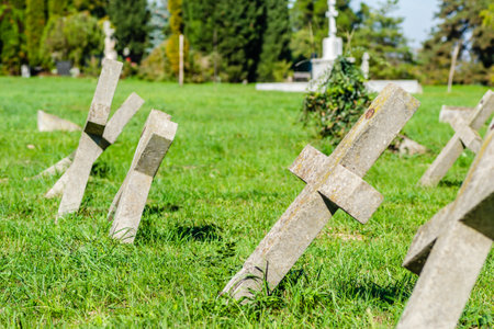 The old military cemetery at TranÅ¾ament, Petrovaradin. A panoramic view of the old identical,...