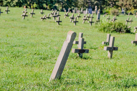 The old military cemetery at TranÅ¾ament, Petrovaradin. A panoramic view of the old identical, neglected concrete gravestone crosses of the military cemetery.の写真素材