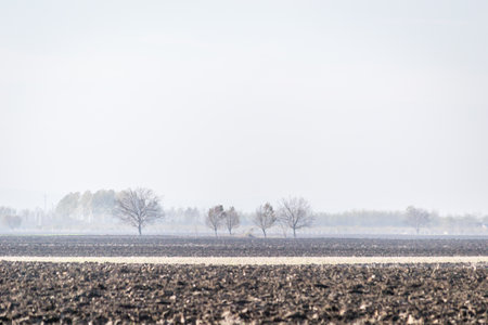 Arable land, agricultural landscape in winter.の写真素材