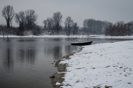 Swamp in winter, misty landscape. A panoramic view of the marsh in a winter foggy day.の写真素材