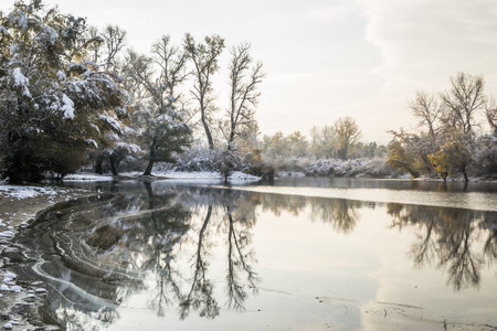 Marsh lake in winter covered with snow. Winter landscape of a marshy lake covered with snow and ice.の写真素材
