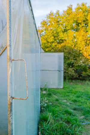 Private greenhouse in the suburbs of Petrovaradin, Novi Sad, Serbia.の写真素材