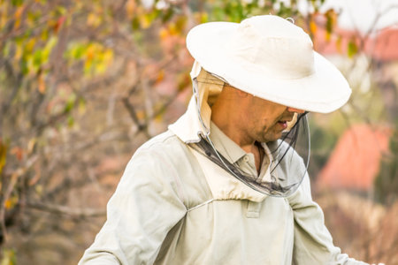 A man looking at a beehive in a meadow. A man looking at a beehive in a meadow and collecting honey.の写真素材