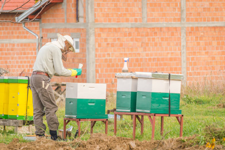 A man looking at a beehive in a meadow. A man looking at a beehive in a meadow and collecting honey.の写真素材