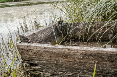 Wooden fishing boats tied to the shore. A view of a small wooden derelict fishing boat, overgrown with weeds, moored to the shore of the lake in autumn.の写真素材