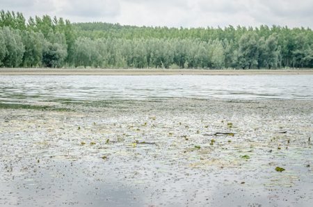 A panoramic view of the constructed artificial lake. A panoramic view of the constructed artificial lake, in the summer period of the year.の写真素材