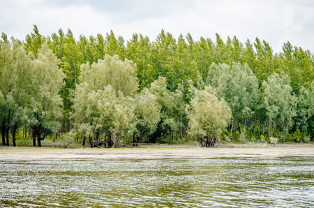 A panoramic view of the constructed artificial lake. A panoramic view of the constructed artificial lake, in the summer period of the year.の写真素材