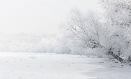 Frozen, snow-covered banks of the Danube River below the Petrovaradin Fortress, Vojvodina, Novi Sad, Petrovaradin, Serbia.の写真素材