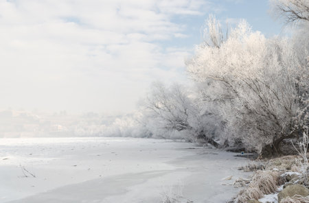 Frozen, snow-covered banks of the Danube River below the Petrovaradin Fortress, Vojvodina, Novi Sad, Petrovaradin, Serbia.の写真素材