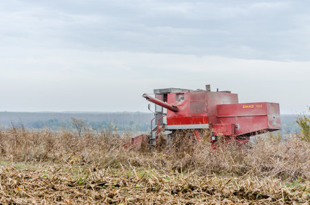 A red harvester and a large blue tractor in a field ready for winter plowing and removal of the remains of previously cut corn.の写真素材