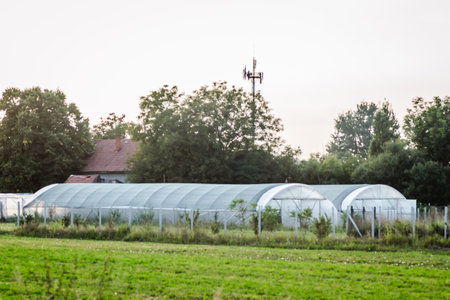 Distant view of the greenhouse in the private yard. Greenhouse with cultivated fresh vegetables.の写真素材