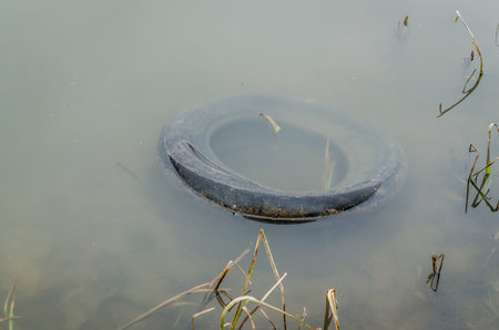 Discarded car tire in lake water.の写真素材