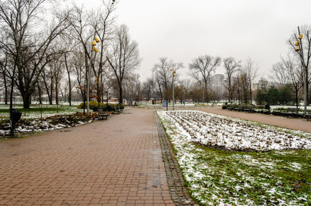 Novi Sad park in winter. View of Novi Sad city park in winter.の写真素材