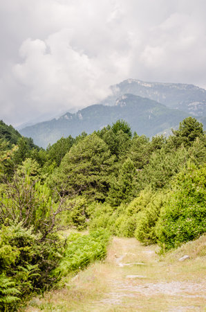 Panoramic view of Mount Olympus from the lookout point above Stavros in Greece.の写真素材