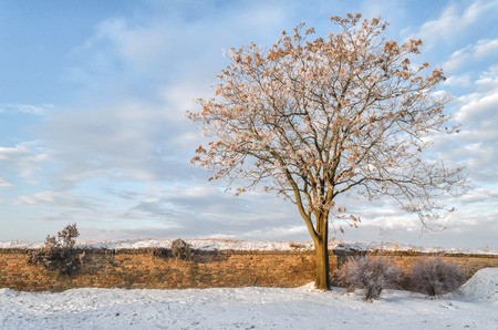 Novi Sad, Serbia - December 22, 2013: Petrovaradin Fortress in the fog in winterのeditorial素材