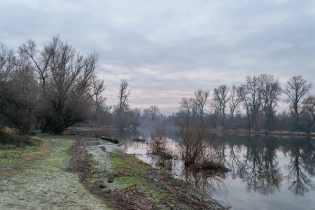 The lake in winter in the morning. Lake landscape in winter in the morning.
