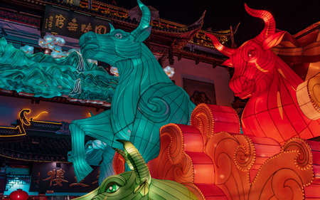 China Shanghai Yuyuan Lantern Festivalのeditorial素材