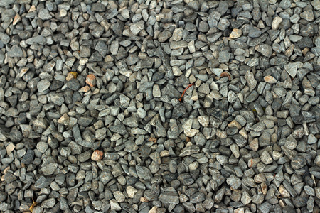 Background of pebbles in the park