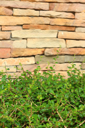 pattern of decorative stone wall surface or backgroundの写真素材