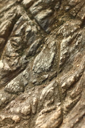 Background image of old wood from nature.の写真素材