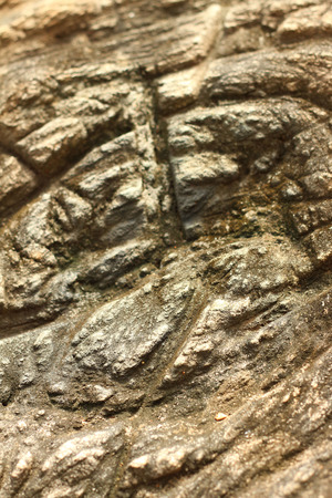 Background image of old wood from nature.の写真素材