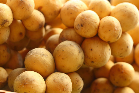 Wollongong on green background at the market.の写真素材