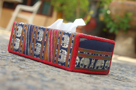 Tissue box Elephant is the symbol of Thailand.の写真素材