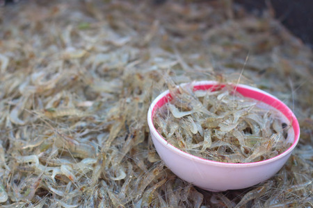 Fresh shrimp on the tray at the marketの写真素材