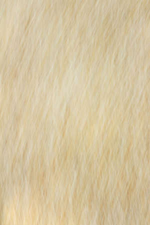 blurred light trails background texture of various
