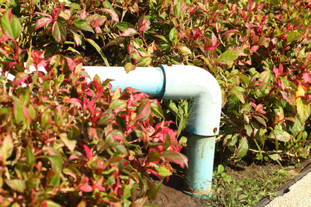 A water pipes in a garden at the parkの写真素材