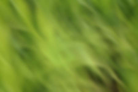 blurred light trails background texture of variousの写真素材