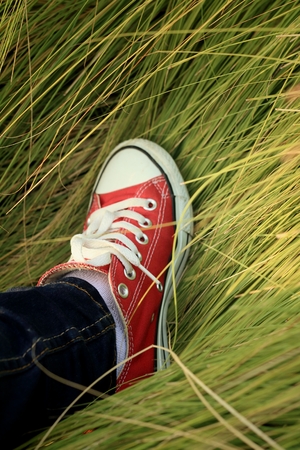 Red shoes with a background of green grass.