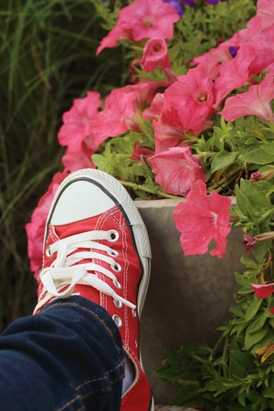 Red shoes with a background of flowers.の写真素材