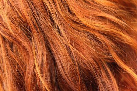 Wavy gold hairs of a beautiful womenの写真素材