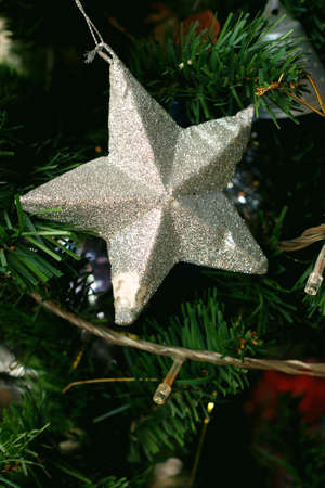 A silver star on the Christmas tree.の写真素材