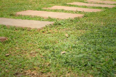 Street Walk of stone on a background of green grass.