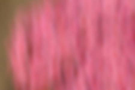 blurred light trails background texture of variousの写真素材