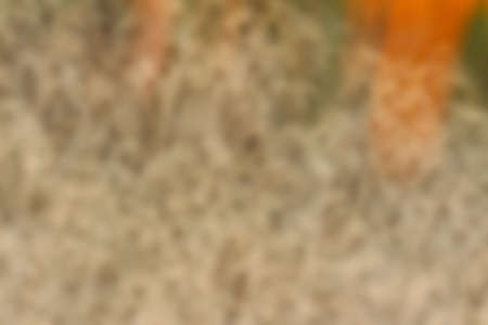 blurred light trails background texture of variousの写真素材