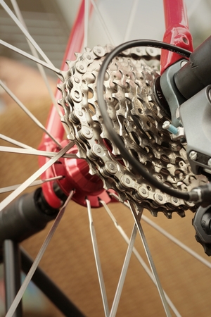 Sprocket of bikes parked at the park.