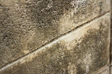 texture of cement at the parkの写真素材