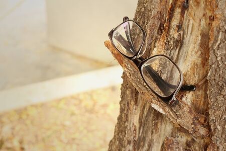 Glasses on a brown background of tree.