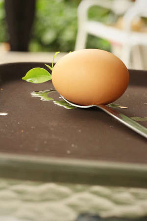 Egg on a spoon with mint leaves.