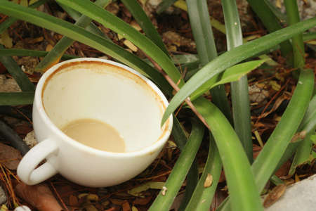 Coffee cup is then used on a green grass background.の写真素材