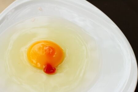 Egg in a white bowl on a table.の写真素材