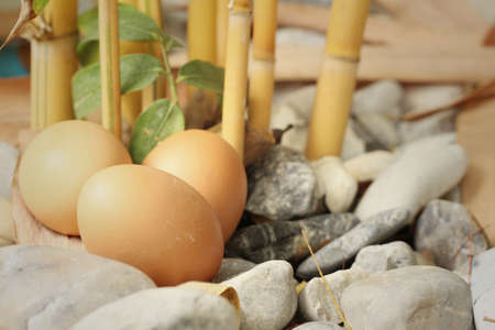 eggs on a background of stone at the parkの写真素材