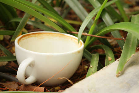 Coffee cup is then used on a green grass background.の写真素材
